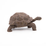 Figurine Tortue des Galápagos Papo en PVC, thème reptiles, Collection Animaux sauvages, jouet éducatif idéal pour enfants et collectionneurs