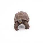Figurine Tortue des Galápagos Papo en PVC, thème reptiles, Collection Animaux sauvages, jouet éducatif idéal pour enfants et collectionneurs