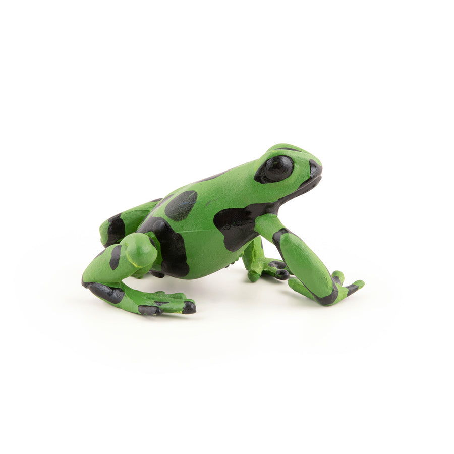 Grenouille équatoriale verte Papo en PVC, Collection Animaux sauvages, jouet éducatif idéal pour enfants et collectionneurs