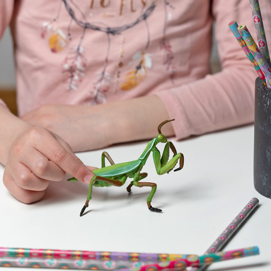 Figurine Mante religieuse Papo en PVC, thème insectes, Collection Animaux des jardins, jouet éducatif idéal pour enfants et collectionneurs