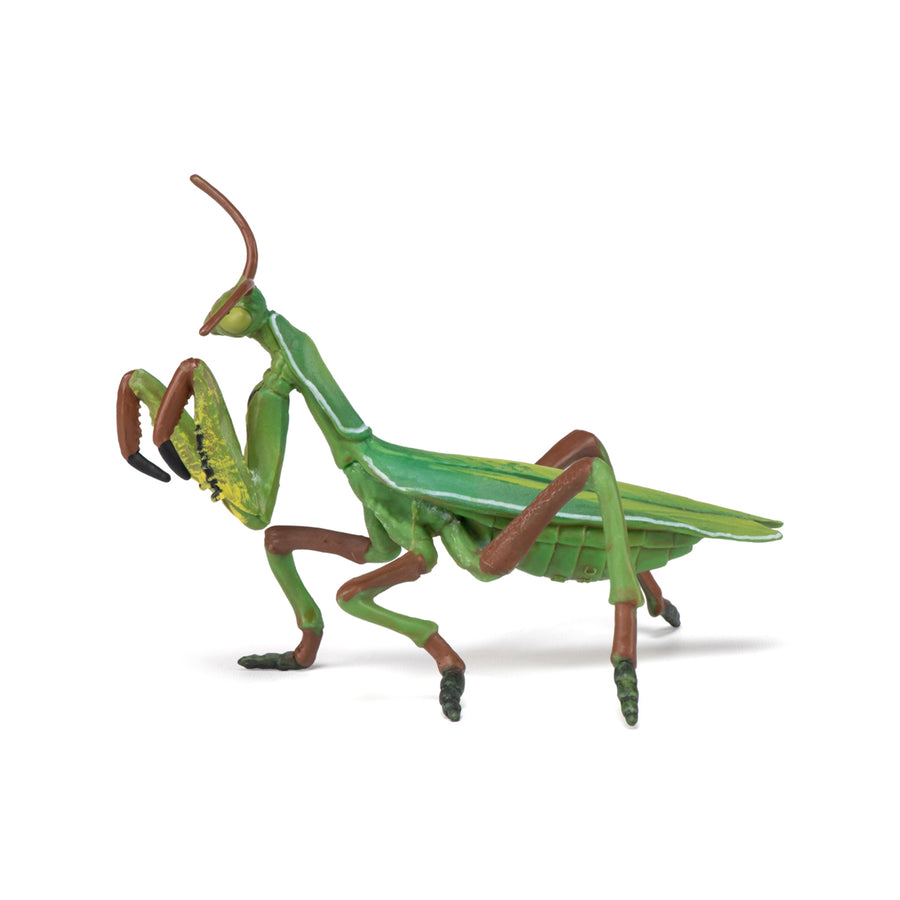 Figurine Mante religieuse Papo en PVC, thème insectes, Collection Animaux des jardins, jouet éducatif idéal pour enfants et collectionneurs