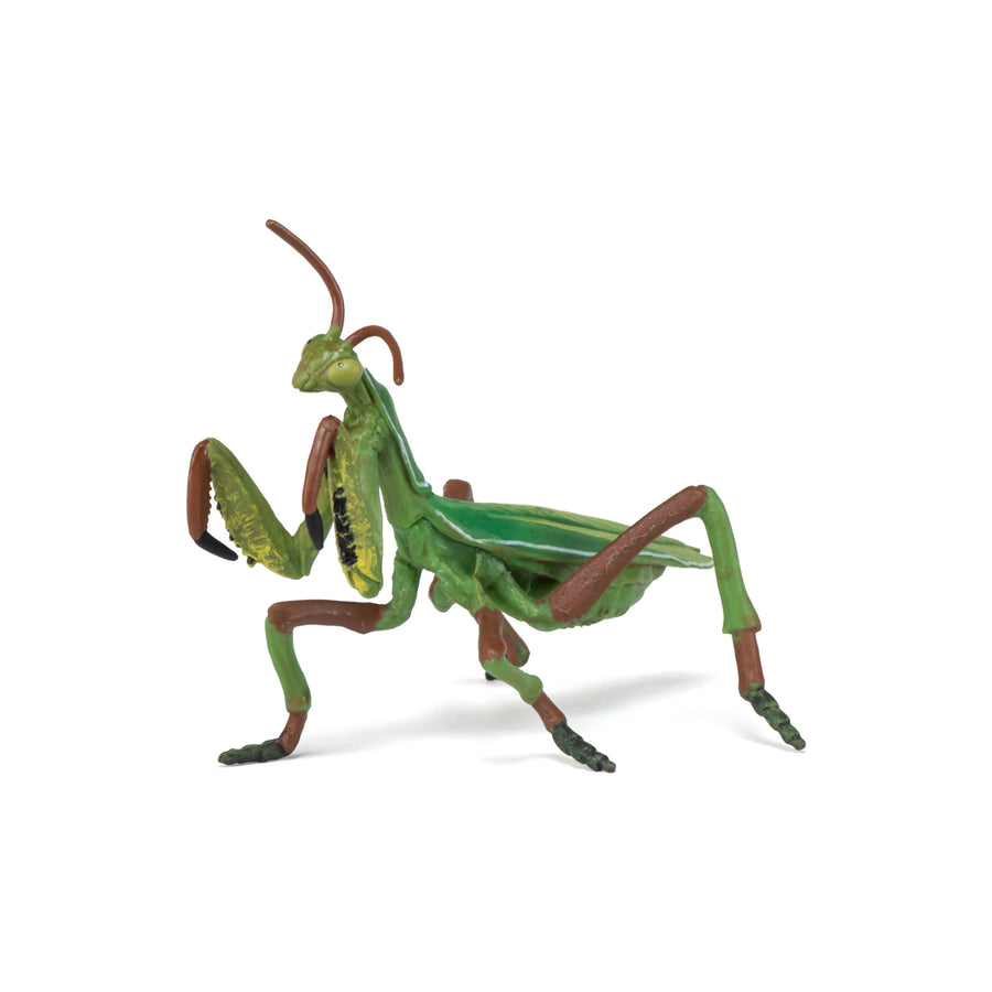 Figurine Mante religieuse Papo en PVC, thème insectes, Collection Animaux des jardins, jouet éducatif idéal pour enfants et collectionneurs