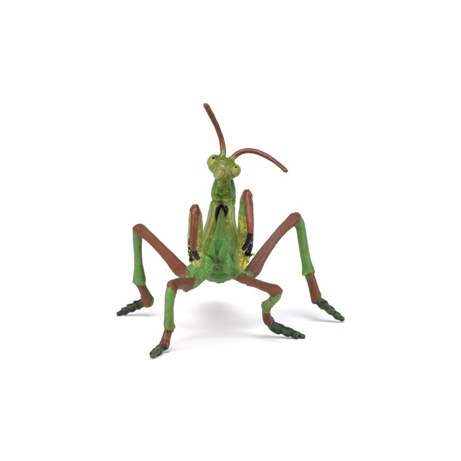 Figurine Mante religieuse Papo en PVC, thème insectes, Collection Animaux des jardins, jouet éducatif idéal pour enfants et collectionneurs