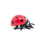 Figurine Coccinelle Papo en PVC, thème insectes, Collection Animaux des jardins, jouet éducatif idéal pour enfants et collectionneurs