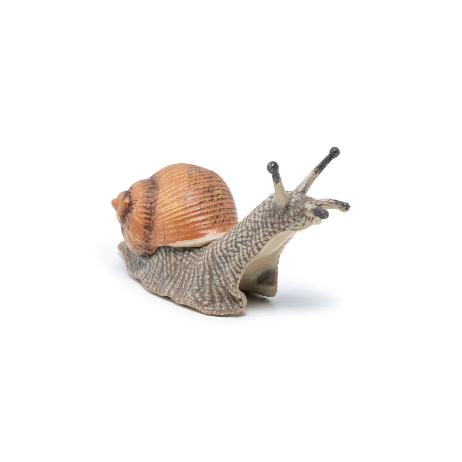 Escargot Papo en PVC, Collection Animaux des jardins, jouet éducatif idéal pour enfants et collectionneurs