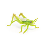 Figurine Sauterelle Papo en PVC, thème insectes, Collection Animaux des jardins, jouet éducatif idéal pour enfants et collectionneurs