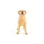 Figurine Labrador Papo en PVC, Collection chiens et chats, jouet éducatif idéal pour enfants et collectionneurs