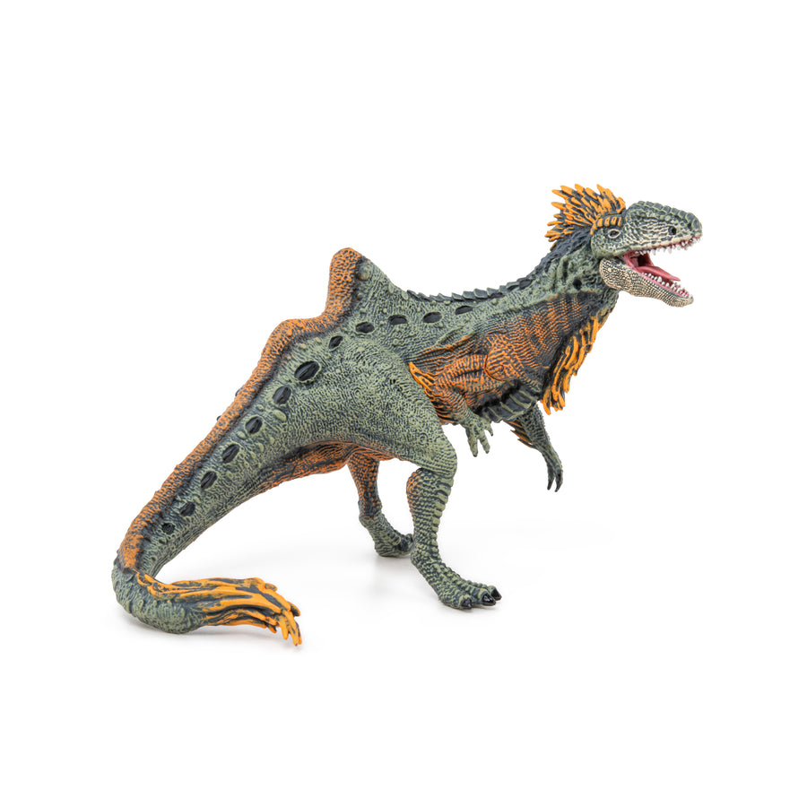 Concavenator Papo en PVC, Collection Dinosaures, jouet éducatif idéal pour enfants et collectionneurs