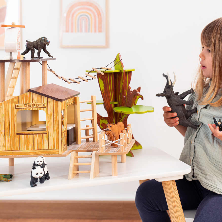 L'hôpital de la brousse